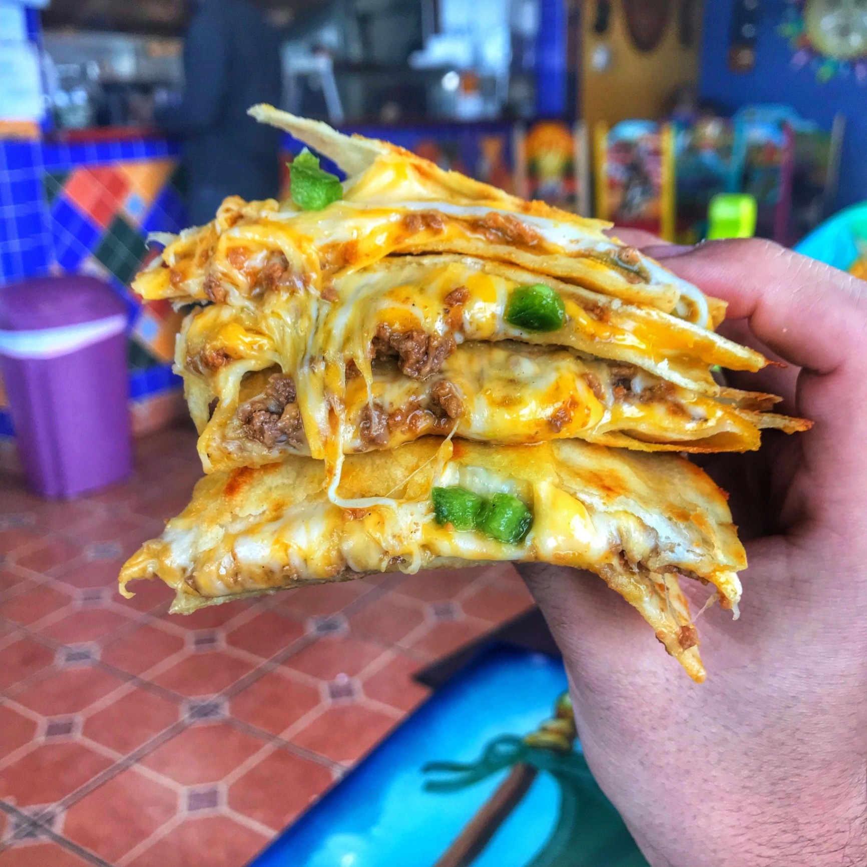 Fresh Taco King quesadilla